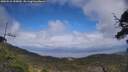 ./images/calvert/fitz-hugh-hecate/20250531/fitz-hugh-hecate20250531_155010M.jpg