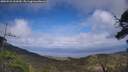 ./images/calvert/fitz-hugh-hecate/20250531/fitz-hugh-hecate20250531_160510M.jpg
