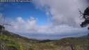 ./images/calvert/fitz-hugh-hecate/20250531/fitz-hugh-hecate20250531_161510M.jpg