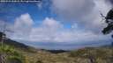 ./images/calvert/fitz-hugh-hecate/20250531/fitz-hugh-hecate20250531_162008M.jpg