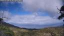 ./images/calvert/fitz-hugh-hecate/20250531/fitz-hugh-hecate20250531_162509M.jpg