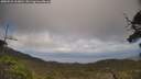 ./images/calvert/fitz-hugh-hecate/20250531/fitz-hugh-hecate20250531_163010M.jpg