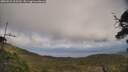 ./images/calvert/fitz-hugh-hecate/20250531/fitz-hugh-hecate20250531_163510M.jpg