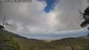 ./images/calvert/fitz-hugh-hecate/20250531/fitz-hugh-hecate20250531_164010M.jpg