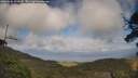 ./images/calvert/fitz-hugh-hecate/20250531/fitz-hugh-hecate20250531_170510M.jpg