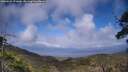 ./images/calvert/fitz-hugh-hecate/20250531/fitz-hugh-hecate20250531_171009M.jpg