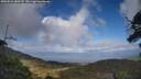 ./images/calvert/fitz-hugh-hecate/20250531/fitz-hugh-hecate20250531_180508M.jpg