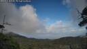 ./images/calvert/fitz-hugh-hecate/20250531/fitz-hugh-hecate20250531_185509M.jpg