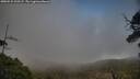 ./images/calvert/fitz-hugh-hecate/20250531/fitz-hugh-hecate20250531_192507M.jpg
