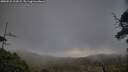 ./images/calvert/fitz-hugh-hecate/20250531/fitz-hugh-hecate20250531_193008M.jpg