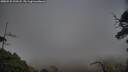 ./images/calvert/fitz-hugh-hecate/20250531/fitz-hugh-hecate20250531_193508M.jpg