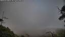 ./images/calvert/fitz-hugh-hecate/20250531/fitz-hugh-hecate20250531_194009M.jpg