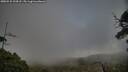 ./images/calvert/fitz-hugh-hecate/20250531/fitz-hugh-hecate20250531_194508M.jpg