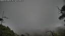./images/calvert/fitz-hugh-hecate/20250531/fitz-hugh-hecate20250531_195008M.jpg