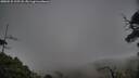 ./images/calvert/fitz-hugh-hecate/20250531/fitz-hugh-hecate20250531_195507M.jpg
