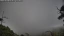 ./images/calvert/fitz-hugh-hecate/20250531/fitz-hugh-hecate20250531_200010M.jpg