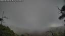 ./images/calvert/fitz-hugh-hecate/20250531/fitz-hugh-hecate20250531_200508M.jpg