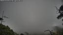 ./images/calvert/fitz-hugh-hecate/20250531/fitz-hugh-hecate20250531_202508M.jpg
