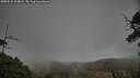 ./images/calvert/fitz-hugh-hecate/20250531/fitz-hugh-hecate20250531_203009M.jpg
