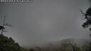./images/calvert/fitz-hugh-hecate/20250531/fitz-hugh-hecate20250531_203508M.jpg