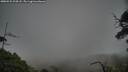 ./images/calvert/fitz-hugh-hecate/20250531/fitz-hugh-hecate20250531_204508M.jpg