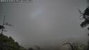 ./images/calvert/fitz-hugh-hecate/20250531/fitz-hugh-hecate20250531_205008M.jpg