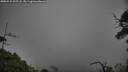 ./images/calvert/fitz-hugh-hecate/20250531/fitz-hugh-hecate20250531_205508M.jpg