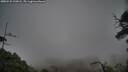 ./images/calvert/fitz-hugh-hecate/20250531/fitz-hugh-hecate20250531_210008M.jpg