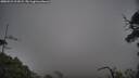./images/calvert/fitz-hugh-hecate/20250531/fitz-hugh-hecate20250531_211009M.jpg