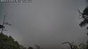 ./images/calvert/fitz-hugh-hecate/20250531/fitz-hugh-hecate20250531_212007M.jpg