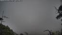 ./images/calvert/fitz-hugh-hecate/20250531/fitz-hugh-hecate20250531_212507M.jpg
