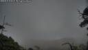 ./images/calvert/fitz-hugh-hecate/20250531/fitz-hugh-hecate20250531_213508M.jpg