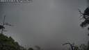 ./images/calvert/fitz-hugh-hecate/20250531/fitz-hugh-hecate20250531_214008M.jpg