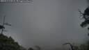 ./images/calvert/fitz-hugh-hecate/20250531/fitz-hugh-hecate20250531_214508M.jpg