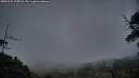 ./images/calvert/fitz-hugh-hecate/20250531/fitz-hugh-hecate20250531_215508M.jpg