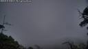 ./images/calvert/fitz-hugh-hecate/20250531/fitz-hugh-hecate20250531_220005M.jpg