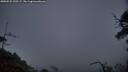 ./images/calvert/fitz-hugh-hecate/20250531/fitz-hugh-hecate20250531_220507M.jpg