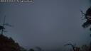 ./images/calvert/fitz-hugh-hecate/20250531/fitz-hugh-hecate20250531_221008M.jpg
