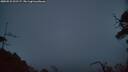 ./images/calvert/fitz-hugh-hecate/20250531/fitz-hugh-hecate20250531_221507M.jpg
