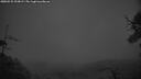 ./images/calvert/fitz-hugh-hecate/20250531/fitz-hugh-hecate20250531_223009M.jpg