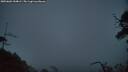 ./images/calvert/fitz-hugh-hecate/20250601/fitz-hugh-hecate20250601_044009M.jpg