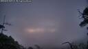 ./images/calvert/fitz-hugh-hecate/20250601/fitz-hugh-hecate20250601_045508M.jpg