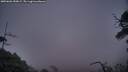 ./images/calvert/fitz-hugh-hecate/20250601/fitz-hugh-hecate20250601_050009M.jpg