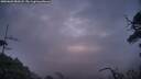 ./images/calvert/fitz-hugh-hecate/20250601/fitz-hugh-hecate20250601_050508M.jpg