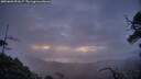 ./images/calvert/fitz-hugh-hecate/20250601/fitz-hugh-hecate20250601_051007M.jpg