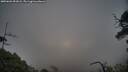 ./images/calvert/fitz-hugh-hecate/20250601/fitz-hugh-hecate20250601_052008M.jpg