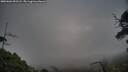 ./images/calvert/fitz-hugh-hecate/20250601/fitz-hugh-hecate20250601_052507M.jpg