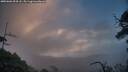 ./images/calvert/fitz-hugh-hecate/20250601/fitz-hugh-hecate20250601_054508M.jpg