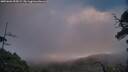 ./images/calvert/fitz-hugh-hecate/20250601/fitz-hugh-hecate20250601_055008M.jpg