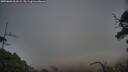 ./images/calvert/fitz-hugh-hecate/20250601/fitz-hugh-hecate20250601_061009M.jpg